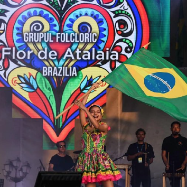 Siriri_por_toda_parte_12