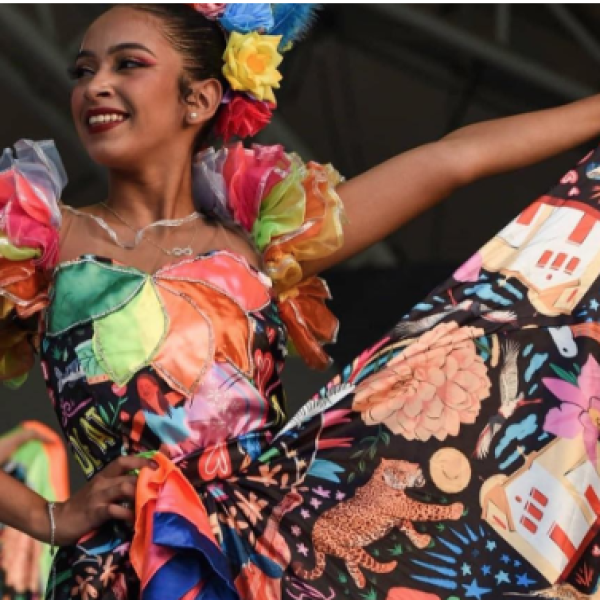 Siriri_por_toda_parte_13